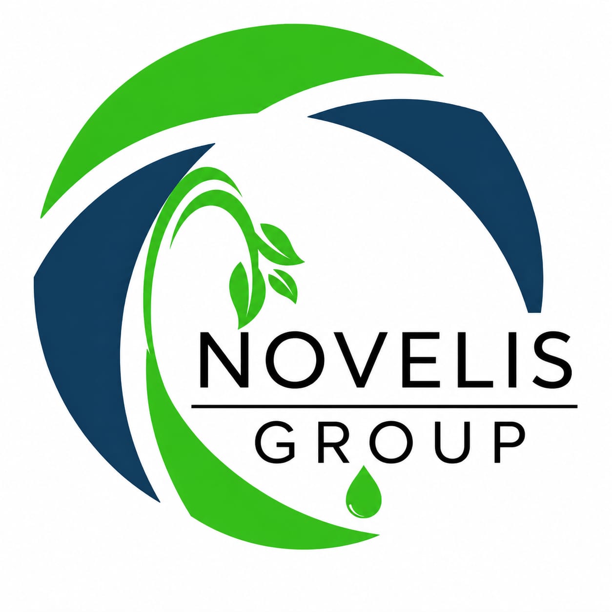 Novelis Group logo